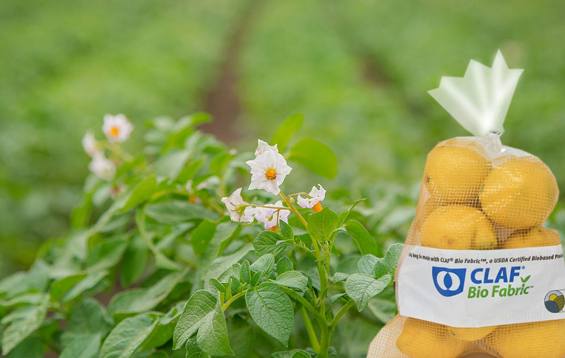 Volm Packaging and Potato Field